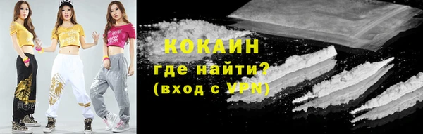 амф Верхний Тагил