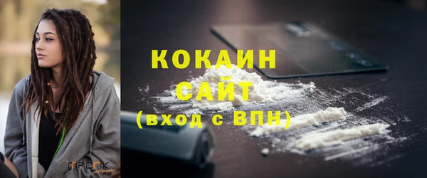 амф Верхний Тагил