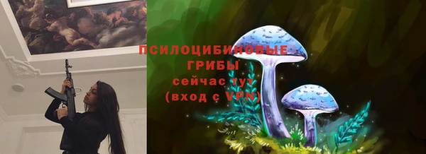 амф Верхний Тагил