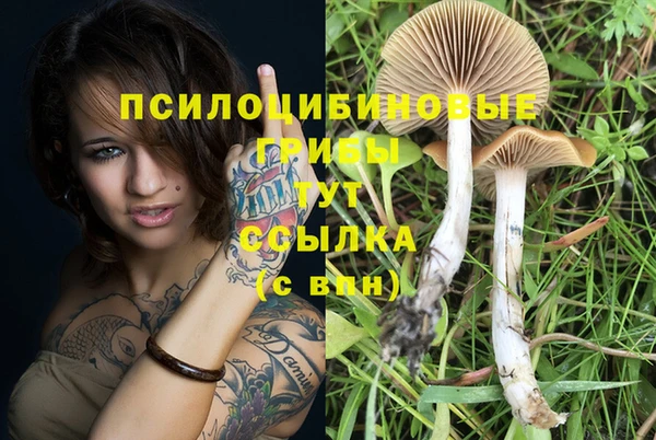первитин Бородино