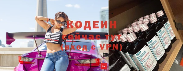 амф Верхний Тагил