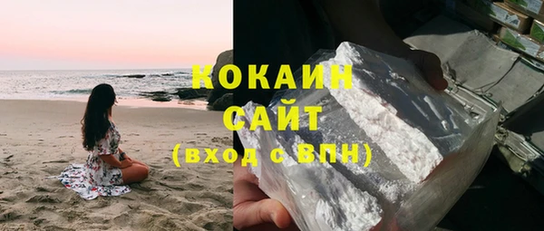амф Верхний Тагил